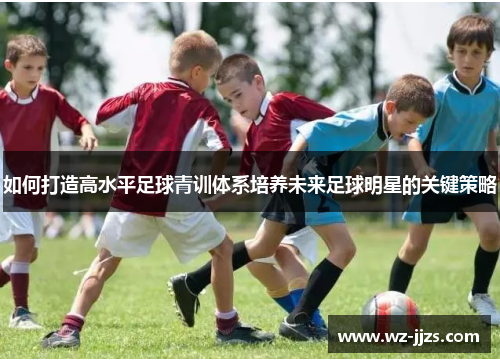 如何打造高水平足球青训体系培养未来足球明星的关键策略